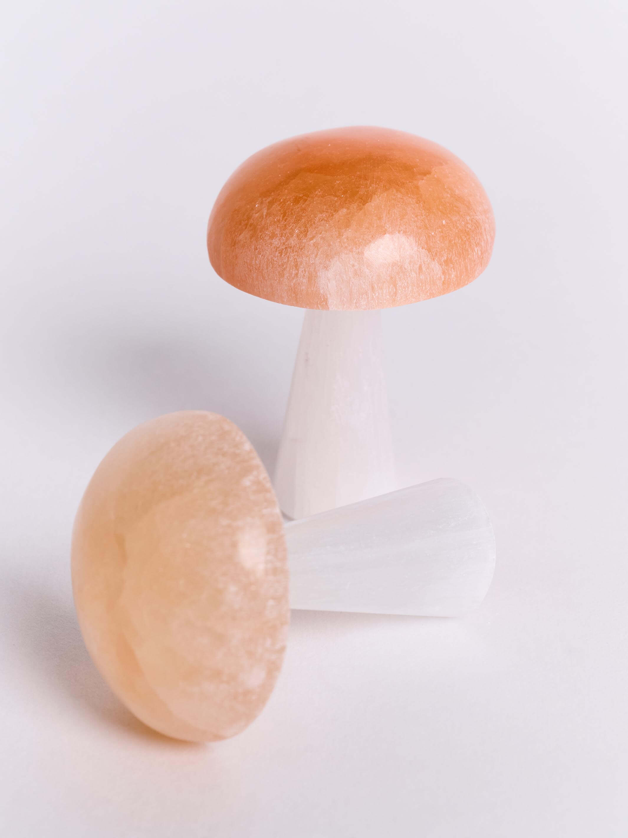 SELENITE MUSHROOM