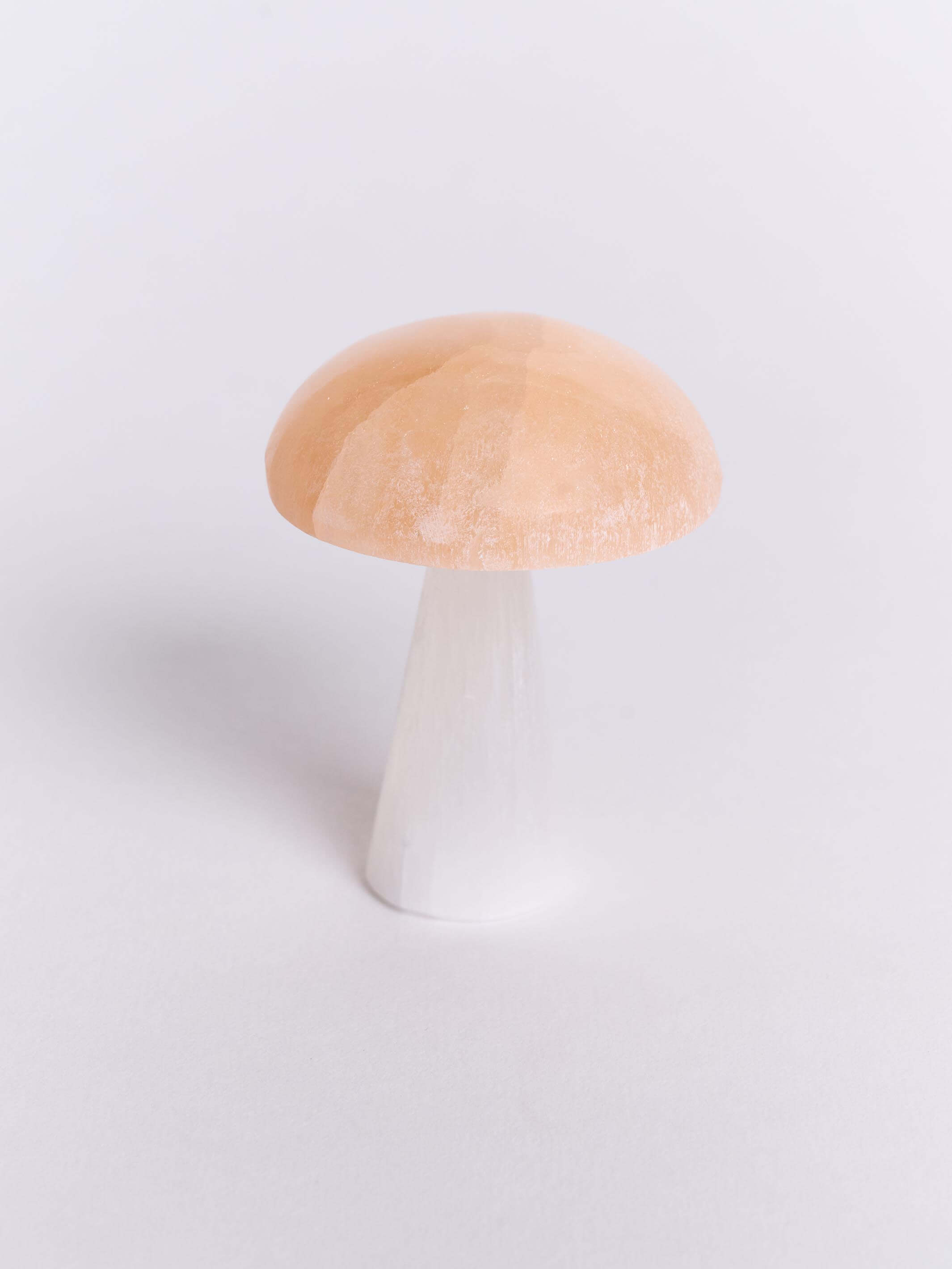 SELENITE MUSHROOM